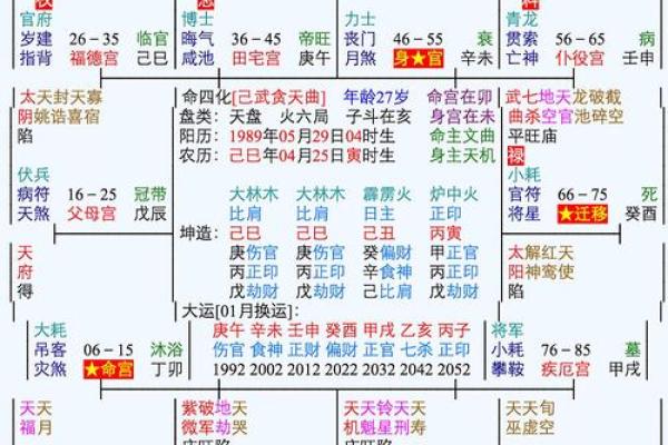 紫微斗数盘里紫薇
