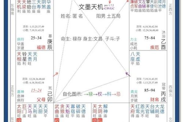 最准紫薇斗数app