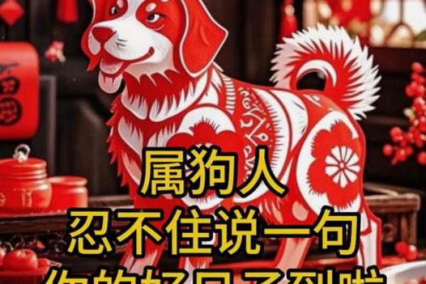 属狗的女孩出生吉日 属狗女最好命的出生日子
