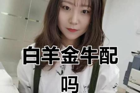 白羊金牛座配对