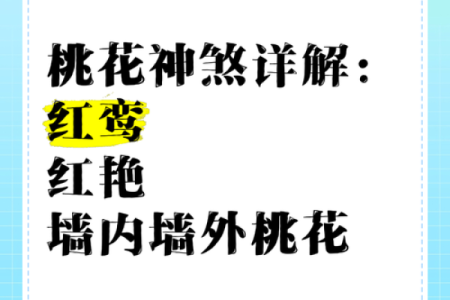 神煞里有桃花是什么意思,桃花神煞在四柱(详解 与桃花有关的八字命运)