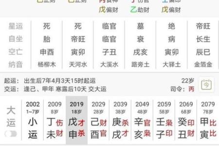 解析八字命盘，掌握旺食旺，提升个人运势