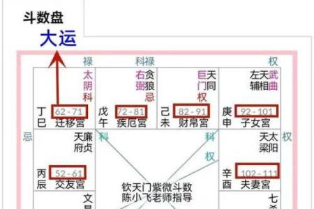倪海厦紫薇斗数案例10