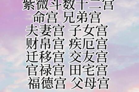 紫薇斗数免费入门