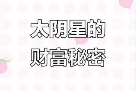 紫薇斗数太阴星