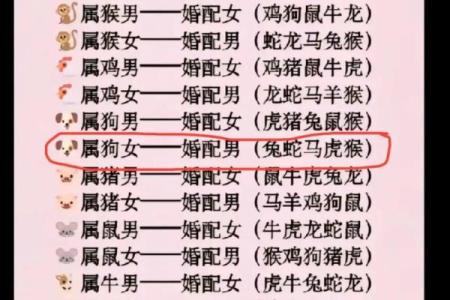 属狗天蝎男和猪女水瓶座配对吗