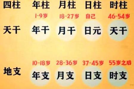 免费起名字生辰八字在线