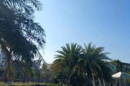 民间故事：两人去算命，同字不同命，算命先生说看看你身后有什么