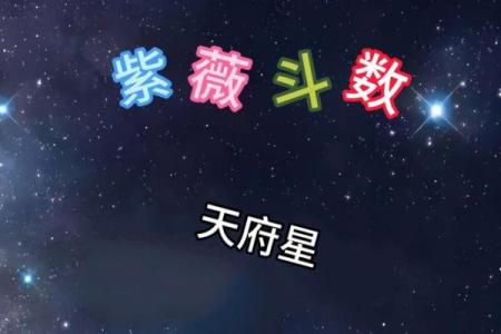 紫薇斗数星代表什么