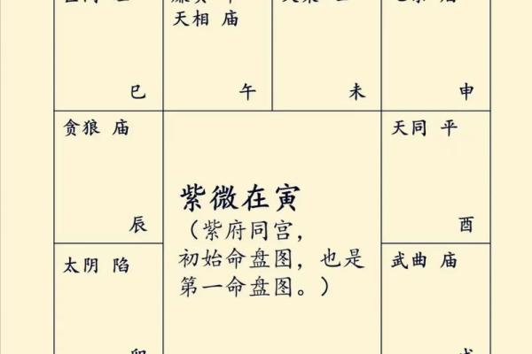 紫薇斗数星宿详解