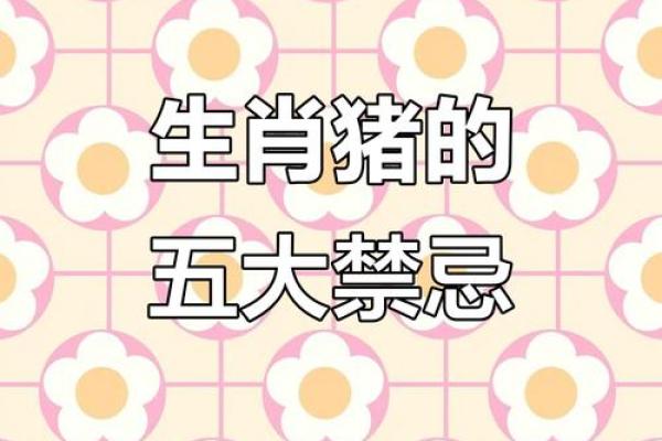 属猪人必知的方位禁忌