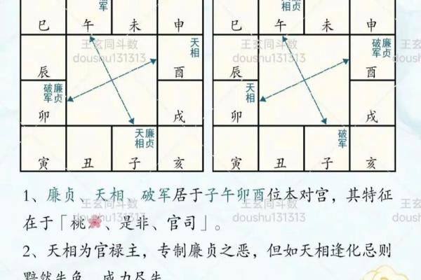 紫薇斗数旬空夫妻宫