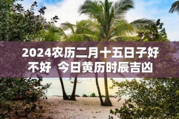 2024年正月二十五黄历好不好？适合结婚吗？
