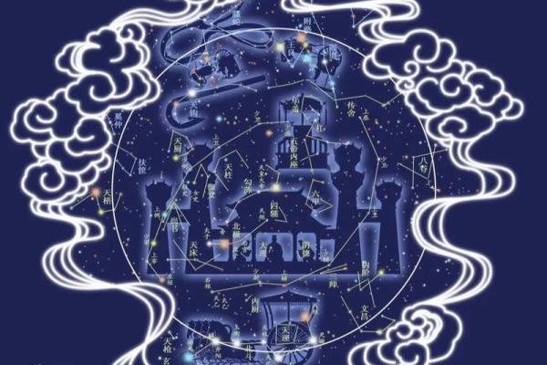 紫薇斗数亥宫