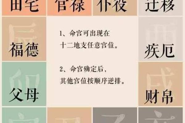 紫薇斗数亥宫