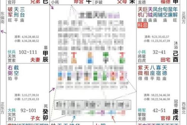 五星派紫薇斗数