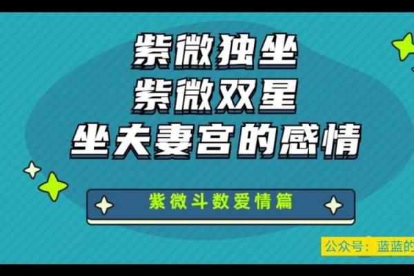 紫薇斗数紫破夹