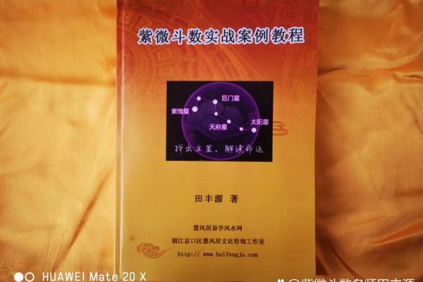 紫薇斗数紫破夹