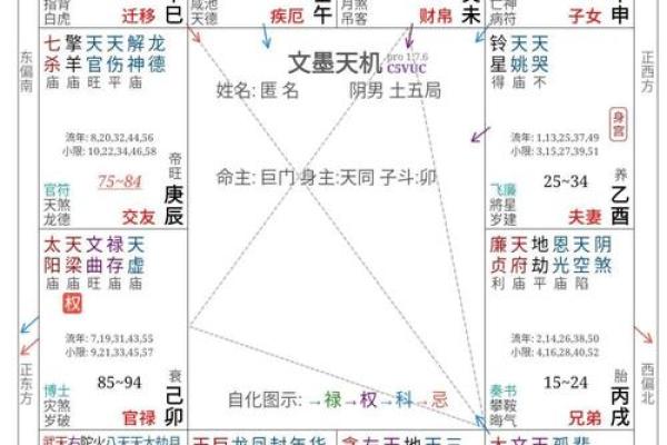 紫微斗数方外人 紫微斗数方外人同步断诀？