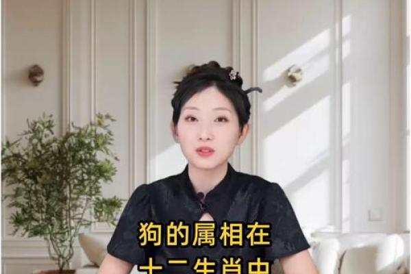 狗配对：十二生肖中，狗座最匹配与不相配的生肖