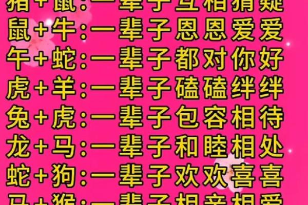 狗的属相配对婚配表
