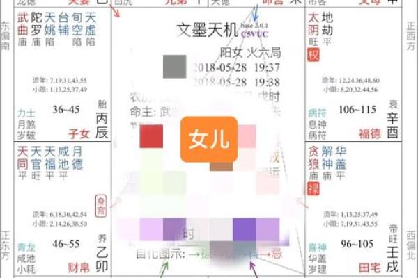 娶双妻紫薇斗数