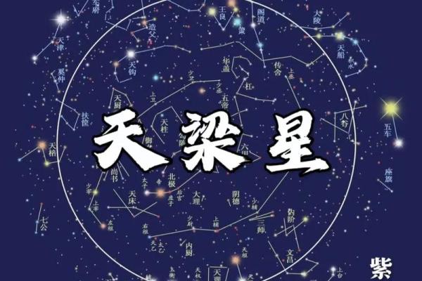 天贵星紫薇斗数