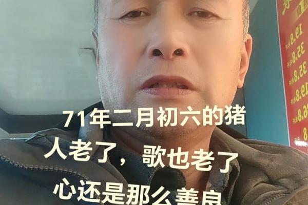 71年属猪和75年属兔相配吗 互补默契配对理想