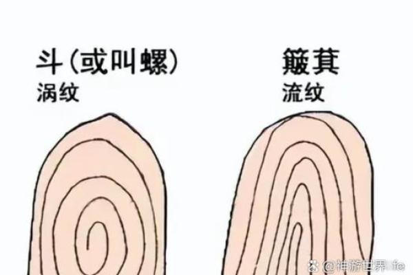 看斗算命，准不准看了便知！