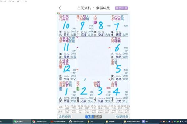 飞星紫微斗数原旨（斗数观测录）