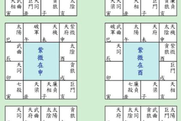 紫薇斗数初级