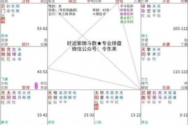 紫薇斗数感情多波折是什么意思