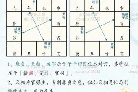 紫薇斗数旬空夫妻宫