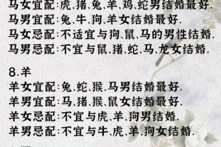 1982年属什么生肖配对最好 1982年属什么生肖的最佳配偶