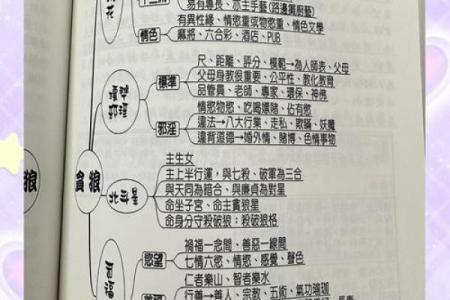 紫微斗数排盘贪狼星坐田宅宫好不好？