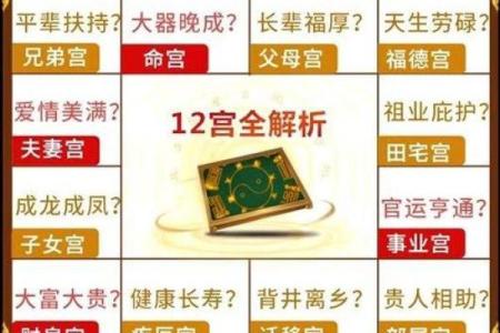 紫薇斗数举门宫