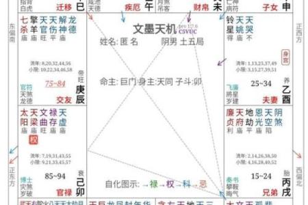 紫微斗数方外人 紫微斗数方外人同步断诀？