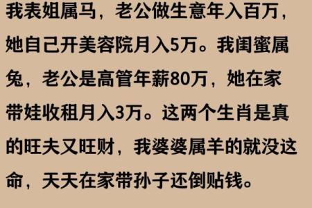 算命说是金兔子