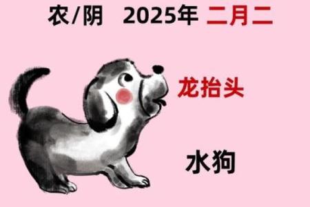 属狗出生最好六个吉日,属狗什么日子出生最好