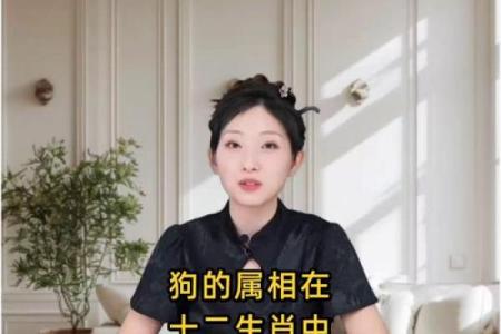 狗配对：十二生肖中，狗座最匹配与不相配的生肖