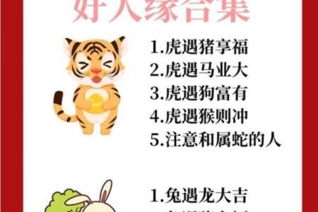 12生肖配对姻缘猪与虎 十二生肖猪和虎合不合？