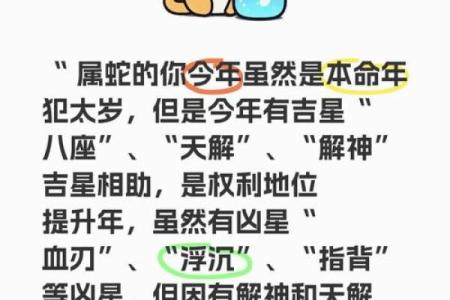 办公室属蛇风水应该如何布局 生肖蛇人赶紧看过来