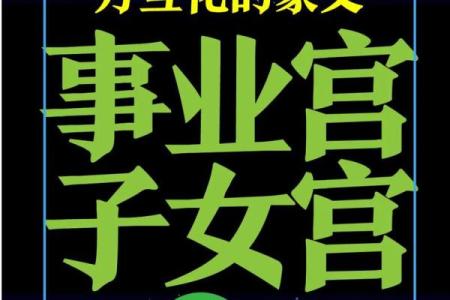 娶双妻紫薇斗数