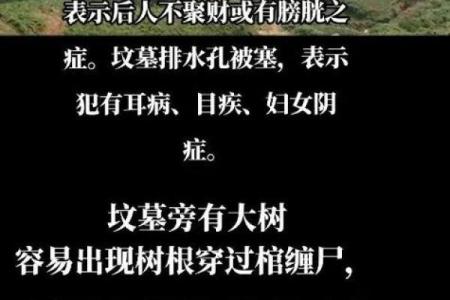 坟墓风水断子孙后代