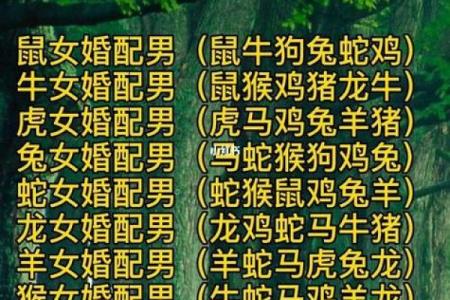 12生肖婚姻配对宜忌