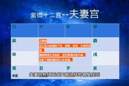 紫薇斗数初级