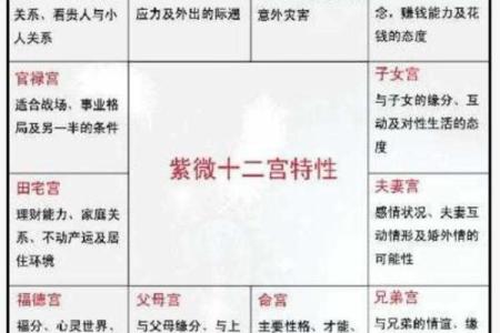 紫薇斗数夫妻宫乙未什么意思