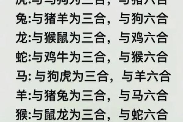 生肖配血型前途最远大TOP3