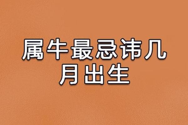 属牛出生最好六个吉日 属牛的出生吉日