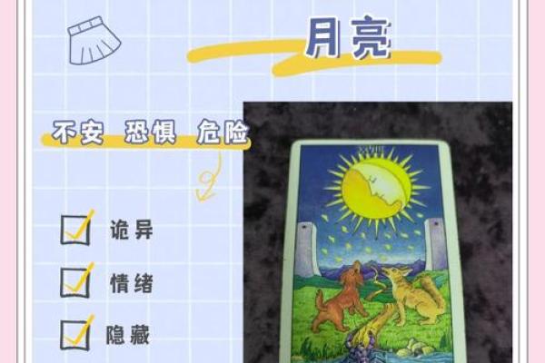 明月塔罗：测试什么类型的工作适合你-